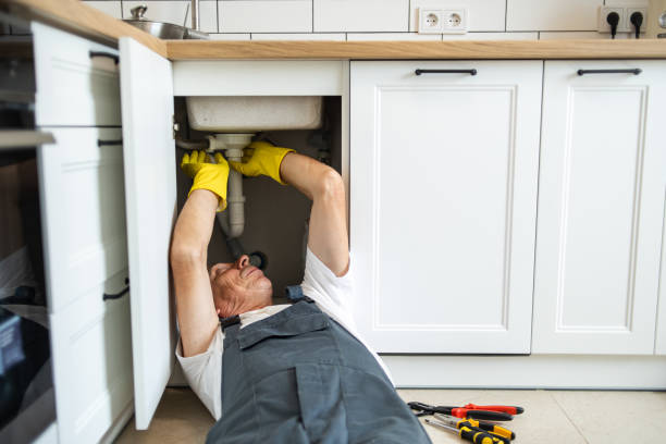 Best Clogged Drain Plumber  in South Lockport, NY